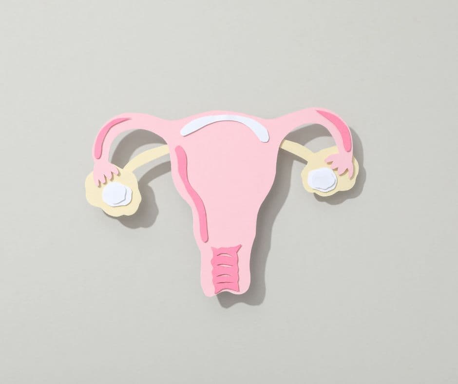 Fibroid / myoma support session