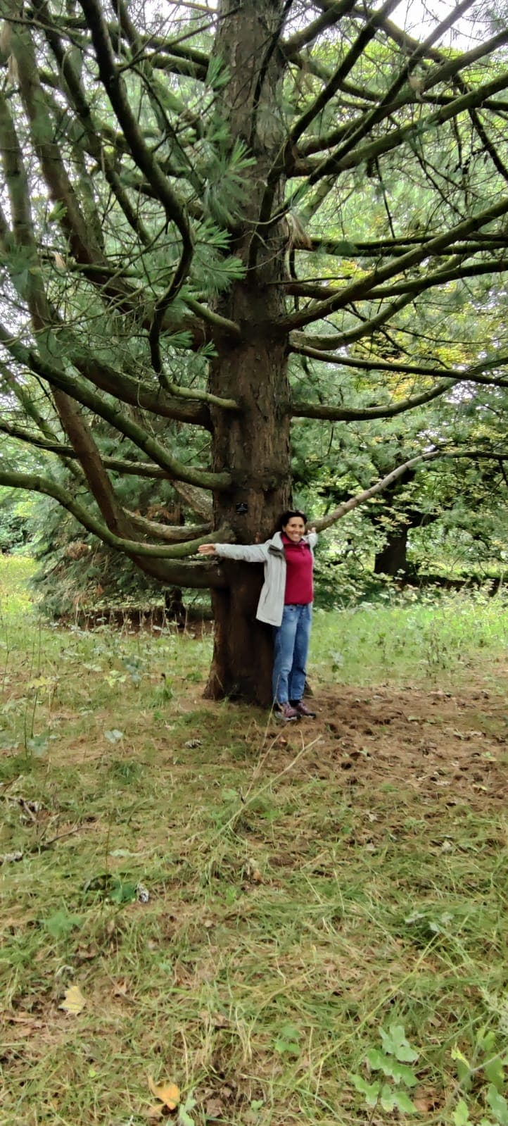 Professional Profile Image 981