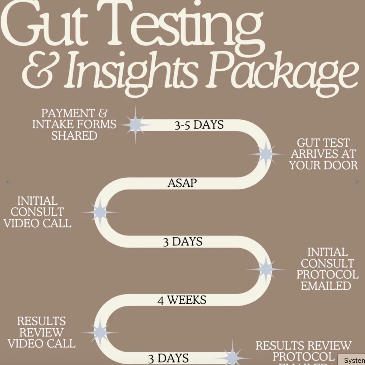 Gut Testing & Insights Package