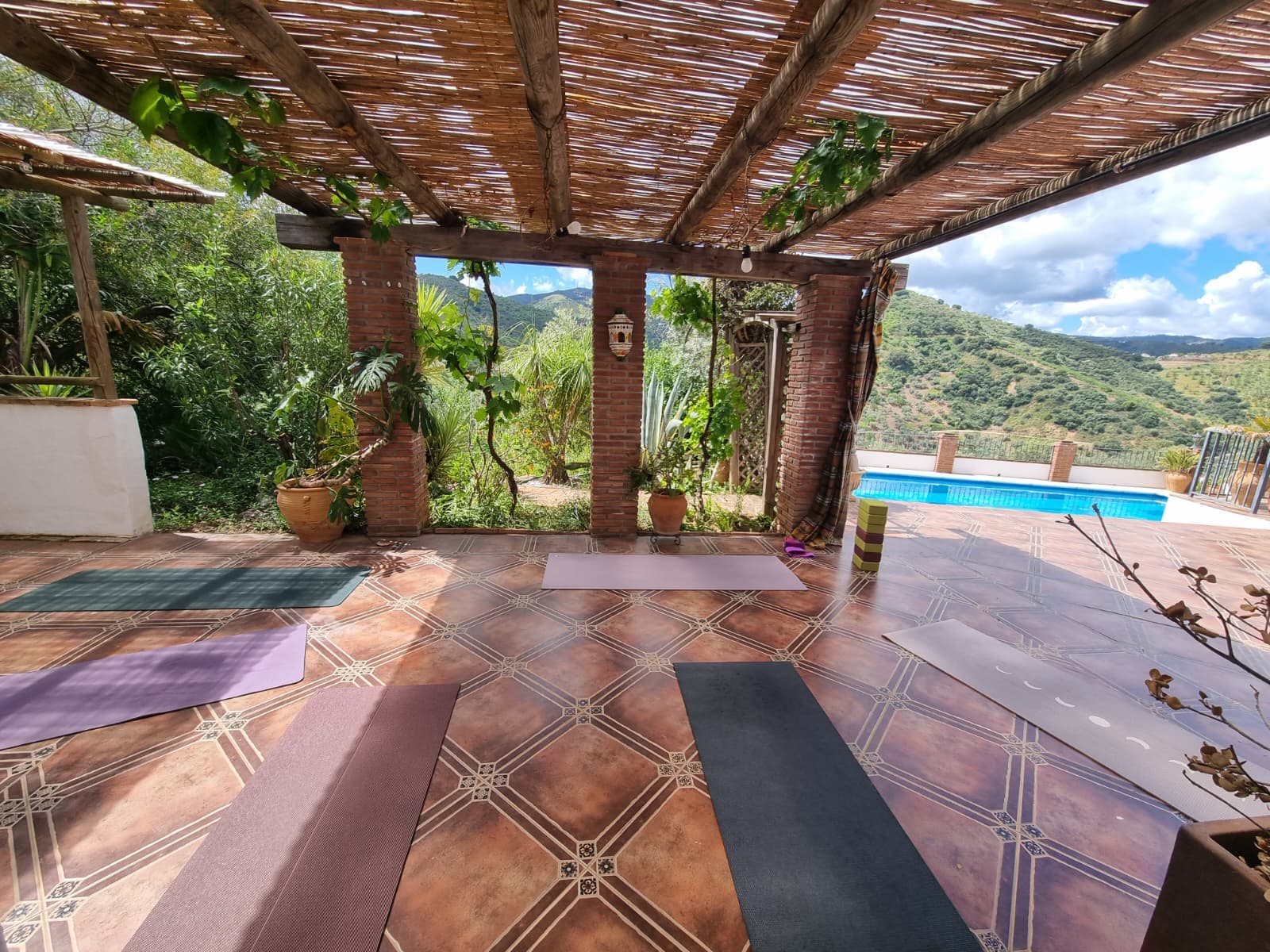 Professional Profile Image 993