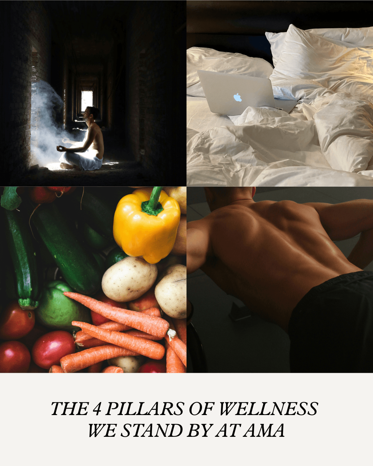 Professional Profile Image 1018