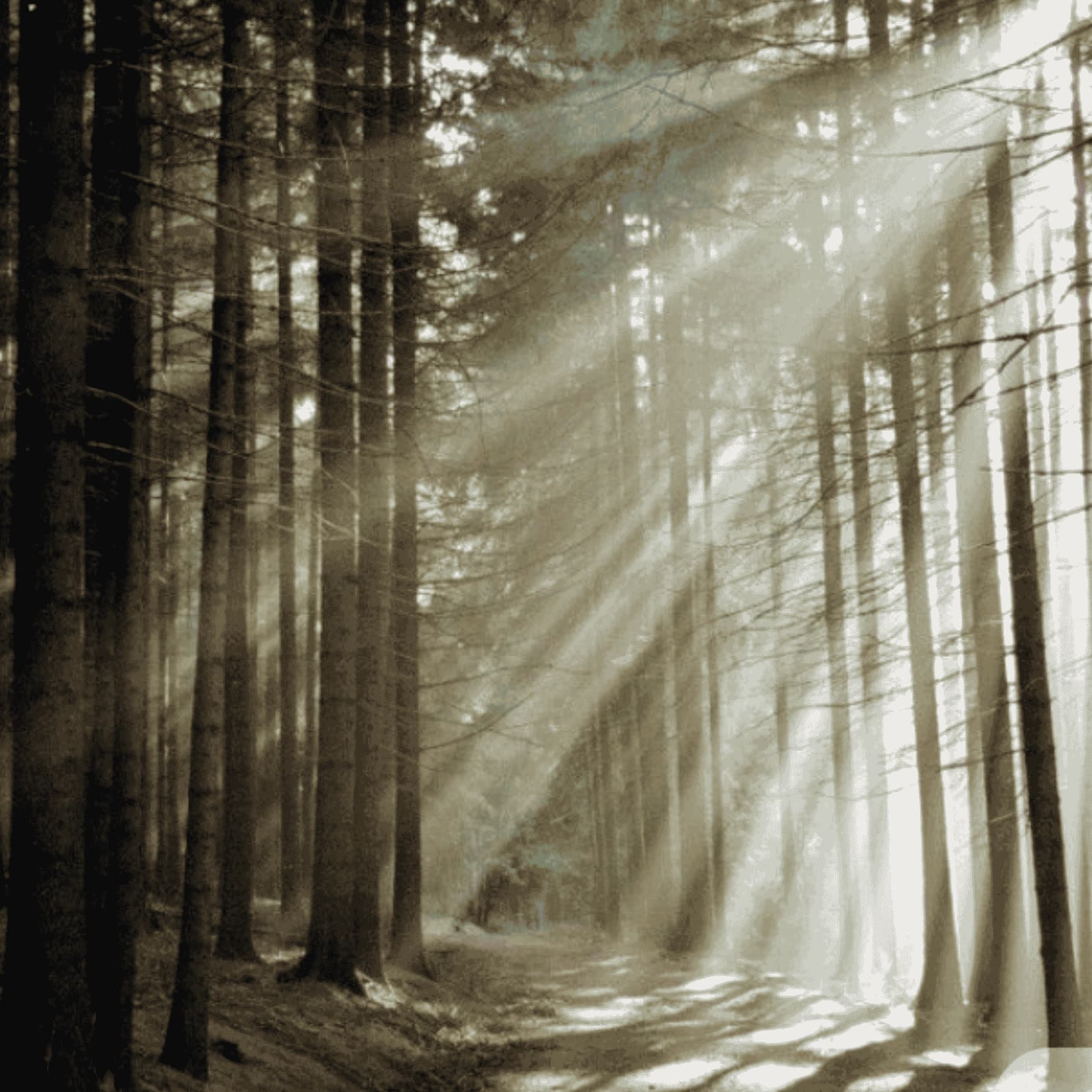 Clarity Coaching: From Stuck to Next Steps Roadmap 