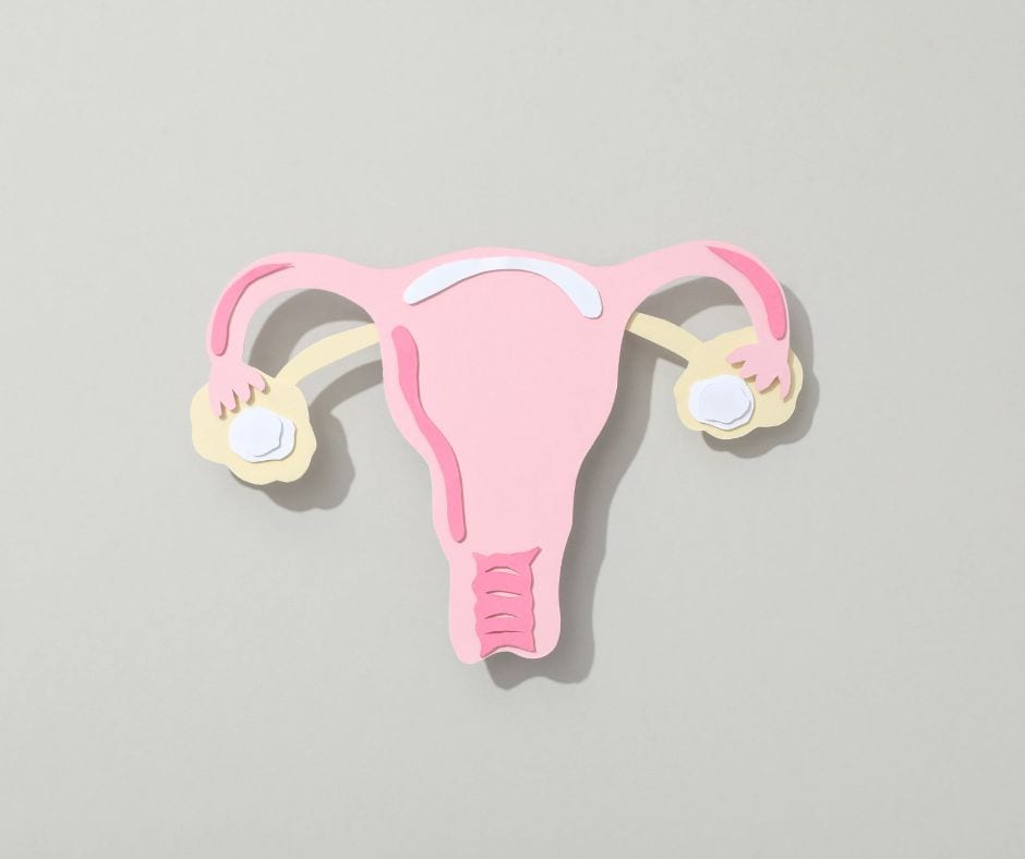 Fibroid / myoma support session